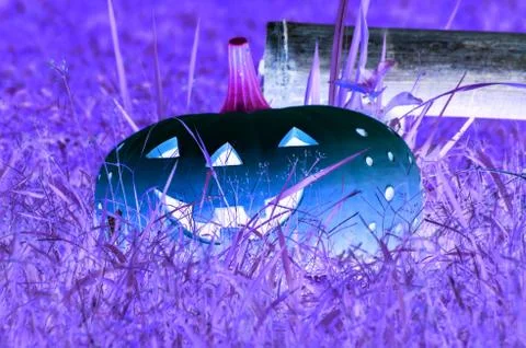 Halloween Pumpkins Stock Photos