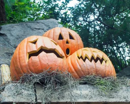 Halloween pumpkins Stock Photos