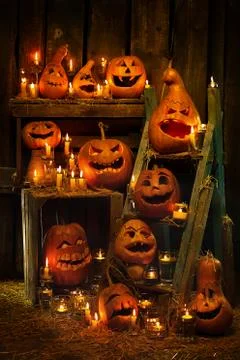 Halloween pumpkins Stock Photos