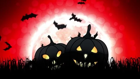 Halloween Pumpkins in Red Background Stock Footage 79791947