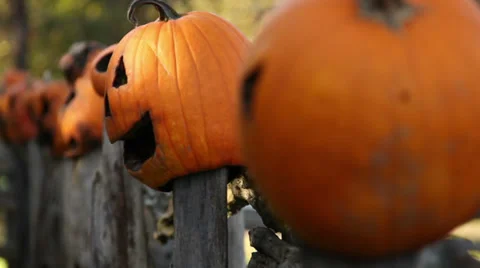 Halloween Pumpkins Rural Yard Fence Holiday Decorations Rotting Stock Footage