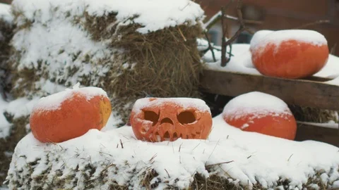 Halloween Pumpkins In Snow Stock Footage 97519665