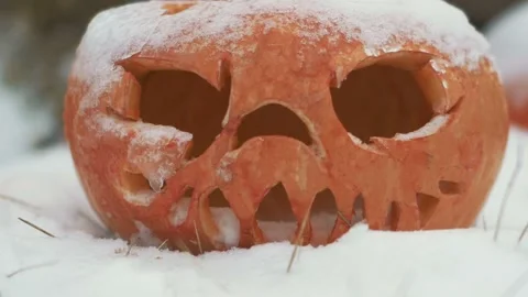 Halloween Pumpkins In Snow Stock Footage 97534078