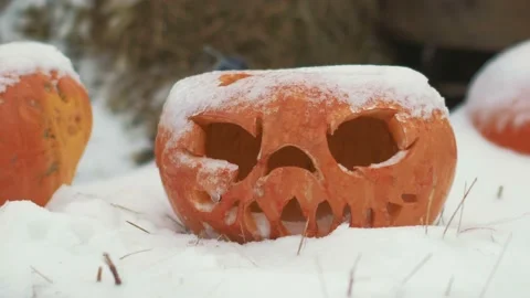 Halloween Pumpkins In Snow Stock Footage 97534426