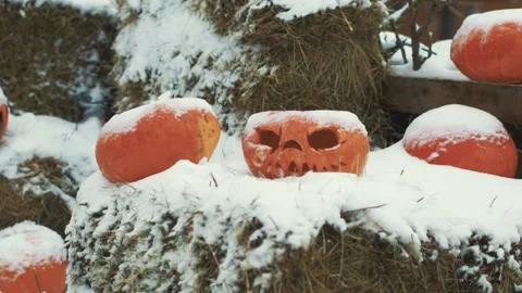 Halloween Pumpkins In Snow Stock Footage 97534582