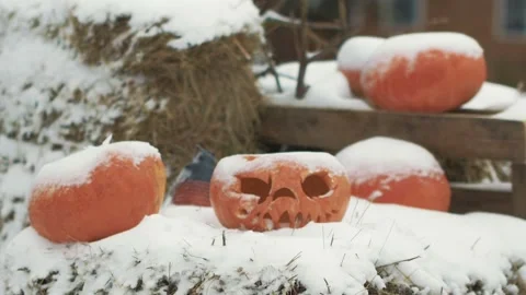 Halloween Pumpkins In Snow Stock Footage 97534831
