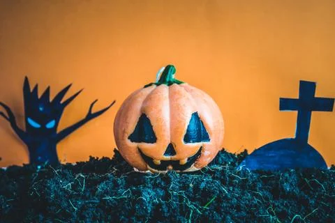 Halloween Pumpkins on soil Stock Photos
