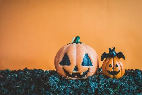 Halloween Pumpkins on soil Stock Photos