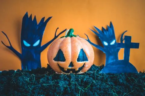 Halloween Pumpkins on soil Stock Photos