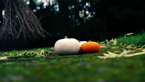 Halloween pumpkins with witch broomstick Stock Footage 255558940
