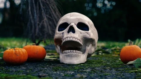 Halloween pumpkins with witch broomstick Stock Footage 255999342