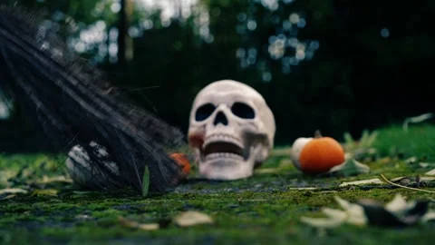 Halloween pumpkins with witch broomstick Stock Footage 256089823