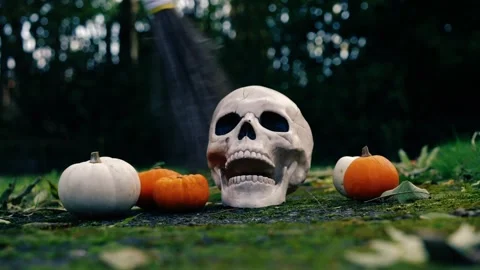 Halloween pumpkins with witch broomstick Stock Footage 256164494