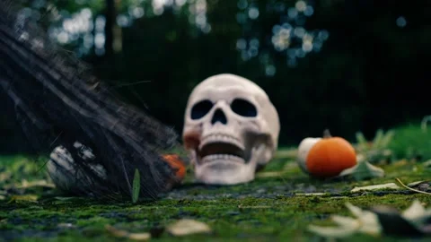 Halloween pumpkins with witch broomstick Stock Footage 259068014
