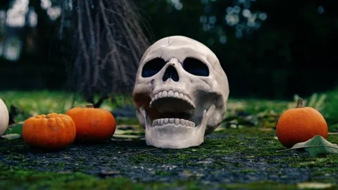 Halloween pumpkins with witch broomstick Stock Footage 259692511