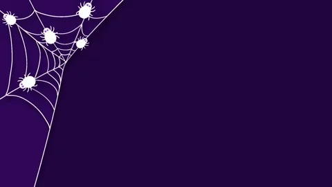 Halloween Purple Background Template With Cobweb And White Spiders Corner I.. Stock Footage 345195713