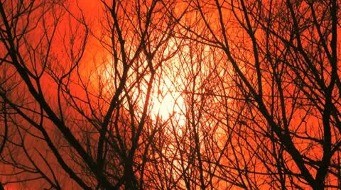 Halloween Red Background 動画素材 21763050