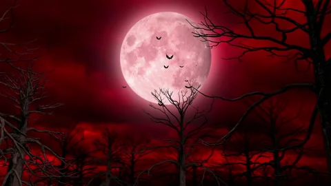 Halloween Red Darkness Background Stock Footage 150513043