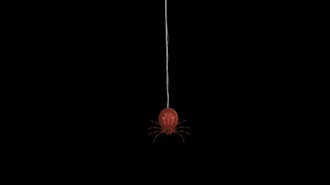 Halloween Red Spider Stock Footage 125774484