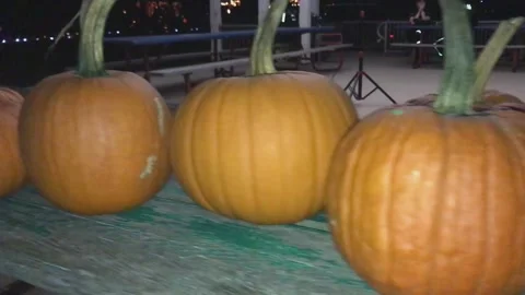 Halloween Row of Pumpkins Stock Footage 160752237