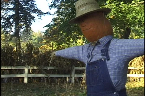 Halloween Scarecrow Stock Footage 297671