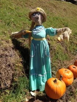 Halloween Scarecrow Photos