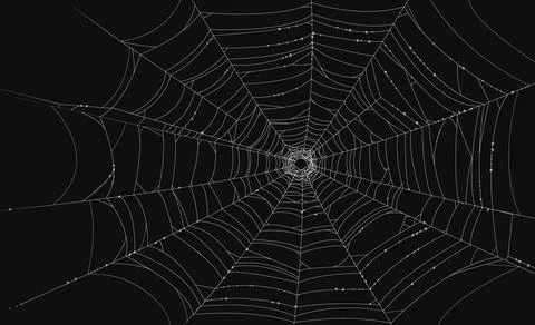 Halloween scary cobweb, spiderweb round net Stock Illustration