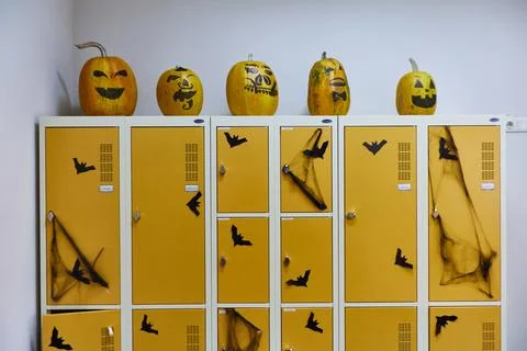 Halloween at school, skeleton spider web Stock Photos