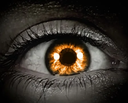 HALLOWEEN SD 013 Vidéo 891482