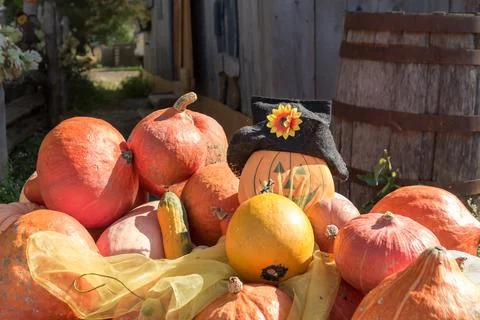 Halloween setup with pumpkins Stock Photos