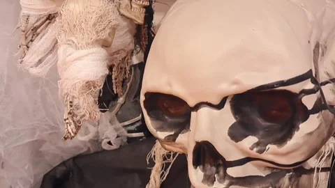 Halloween Skeleton Collection Stock Footage 287906021