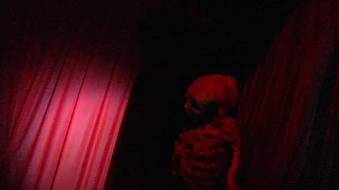 Halloween Skeleton Door Stock Footage 112680153