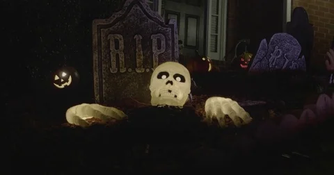 Halloween Skeleton Stock Footage 81829825