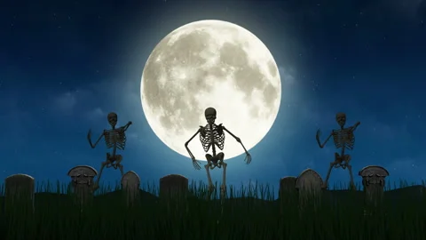 Halloween Skeleton Moon Background Stock Footage 252074176