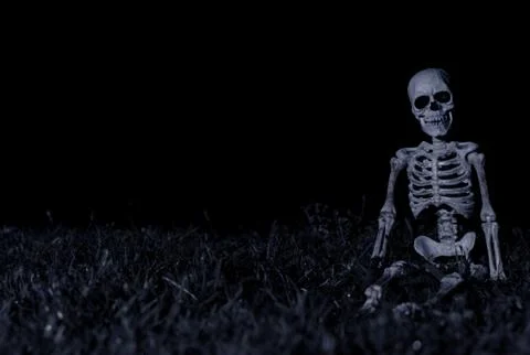 Halloween Skeleton Sitting Stock Photos
