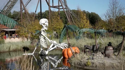 Halloween, skeleton turns its head Stock Footage 219586329