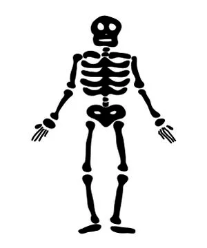 Halloween skeleton vector symbol icon design. Stock Illustration
