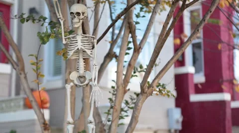 Halloween Skeleton in the wind.mp4 Video stock 43004800