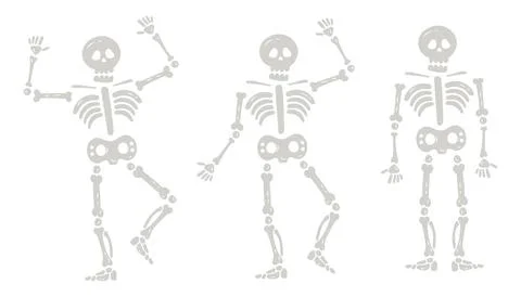 Halloween skeletons in various poses Stock Illustration