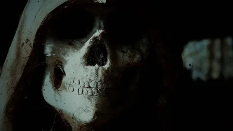 Halloween skull close up Stock Footage 81685846