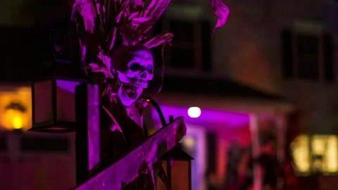 Halloween Skull Video stock 142034900