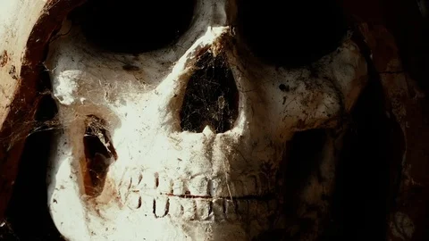 Halloween skull with hood Stock Footage 81685751