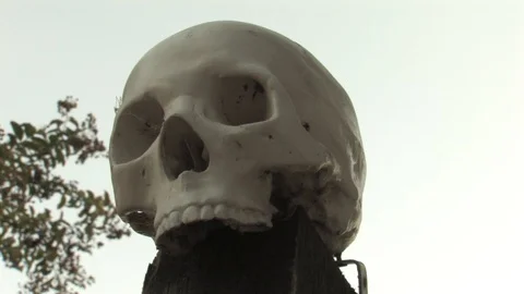 Halloween Skull on Post Close Up With Focus Rack Stock Footage 93853137