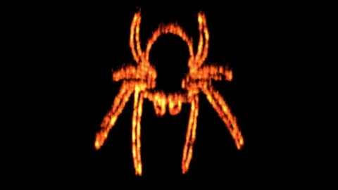 Halloween spider animation written with fire 3D 4K Green Screen Vídeos de archivo 117764458