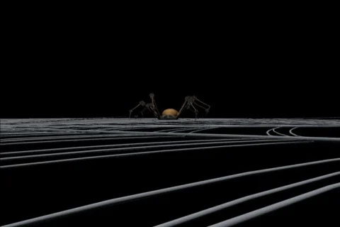 Halloween Spider Closeup 스톡 동영상 335164