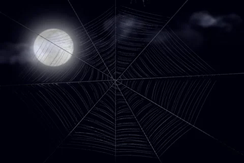 Halloween Spider 스톡 동영상 335160