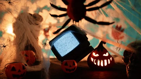 Halloween spider in front of old tv Stock Footage 317087158