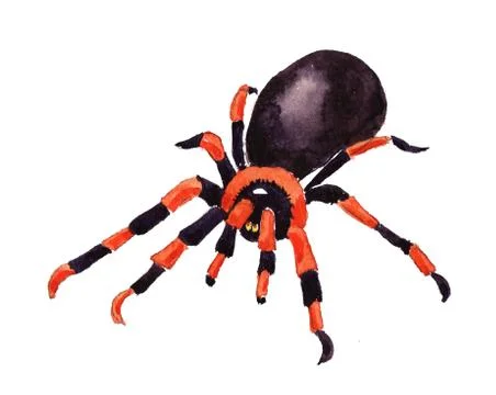 Halloween spider Stock Illustration