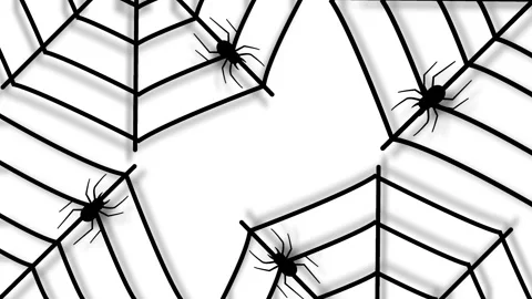 Halloween Spider Web Background Animation With Crawling Black Spiders On Wh.. Video stock 345193833