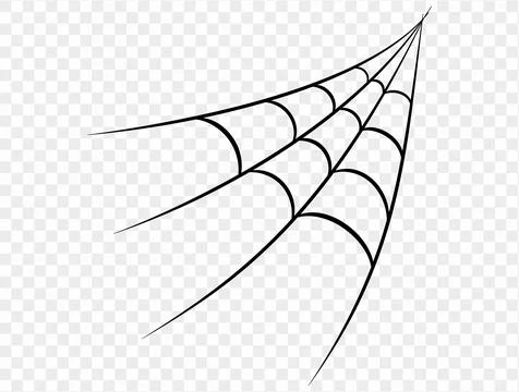 Halloween spider web corner line art decoration vector. Stock Illustration
